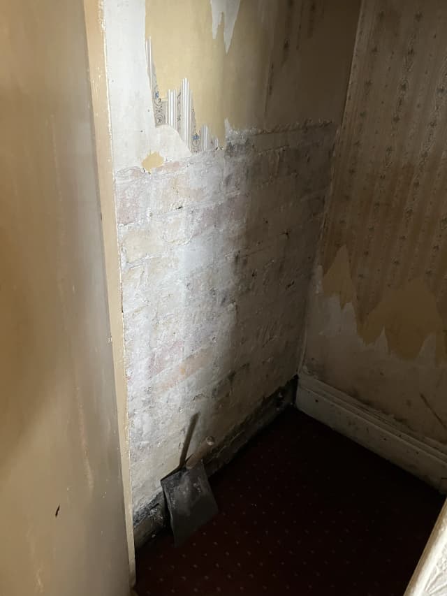 Damp works project