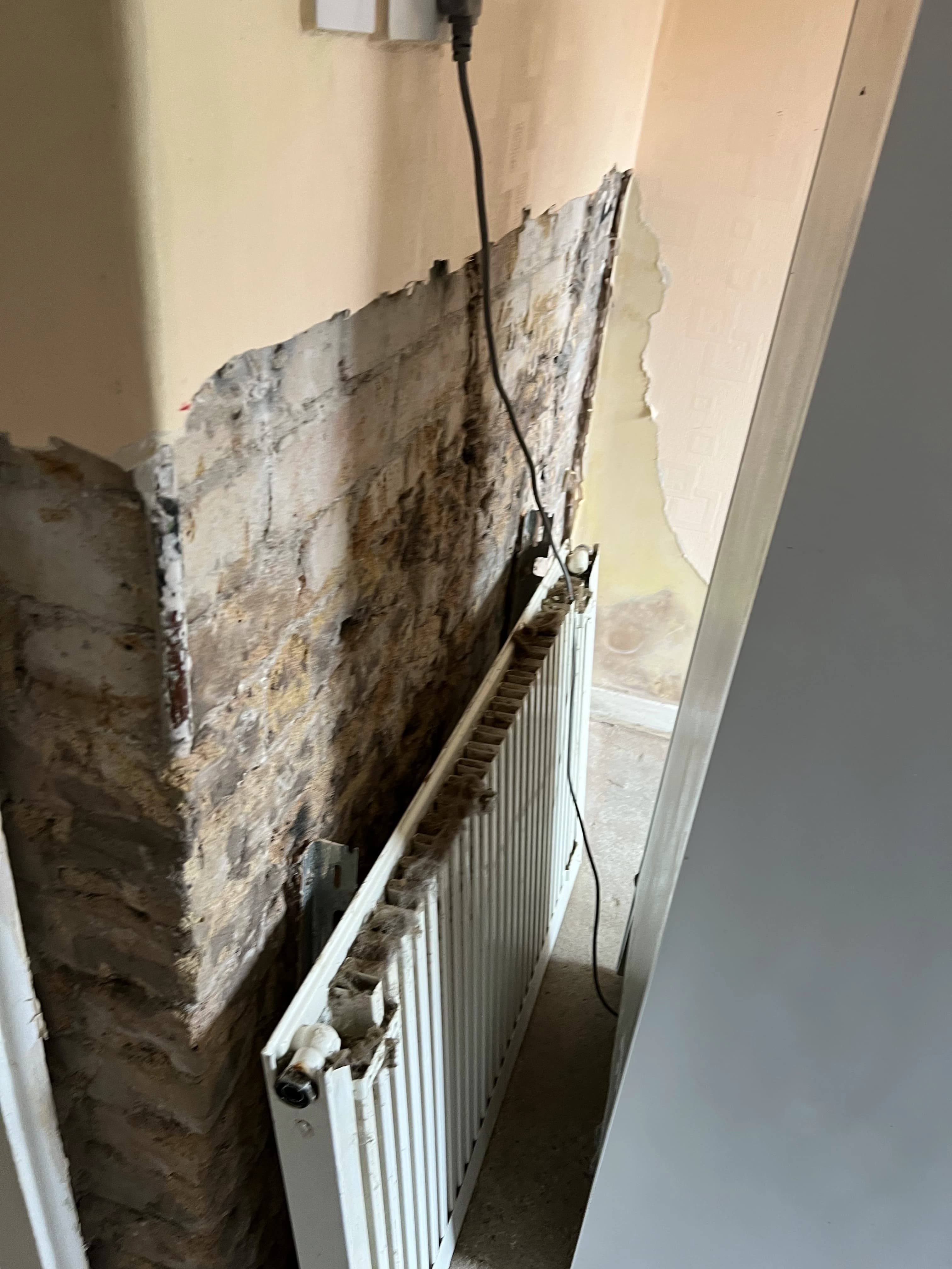 Damp Works