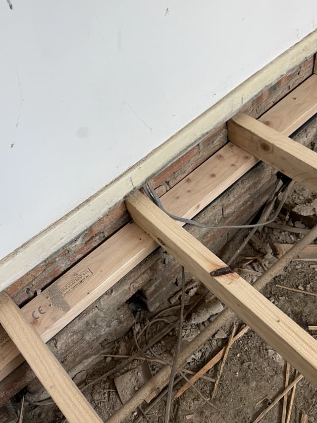 Dry rot project