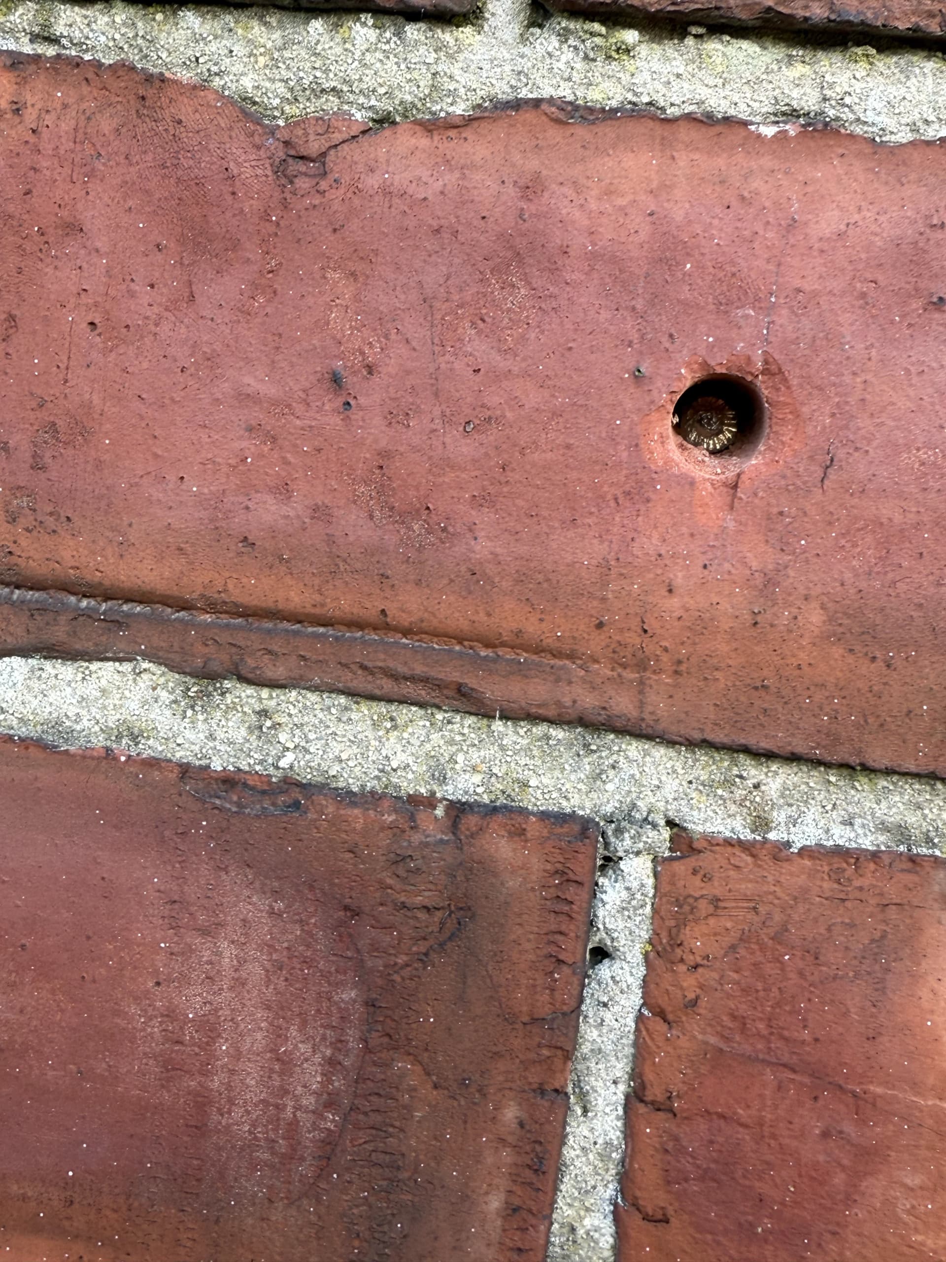 Penetrating damp repair