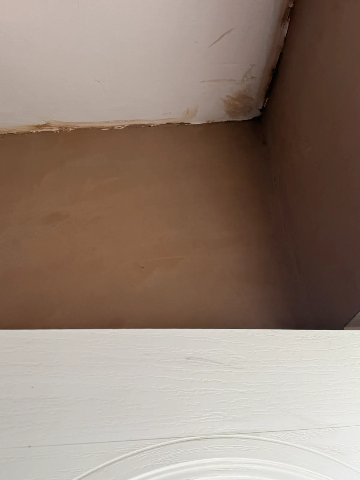 Skimming work by Absolutely Plastered